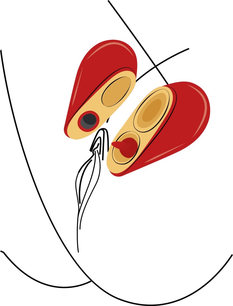 Xocoon Heartbreaker Stimolatore Clitoride 2in1 Ricaricabile