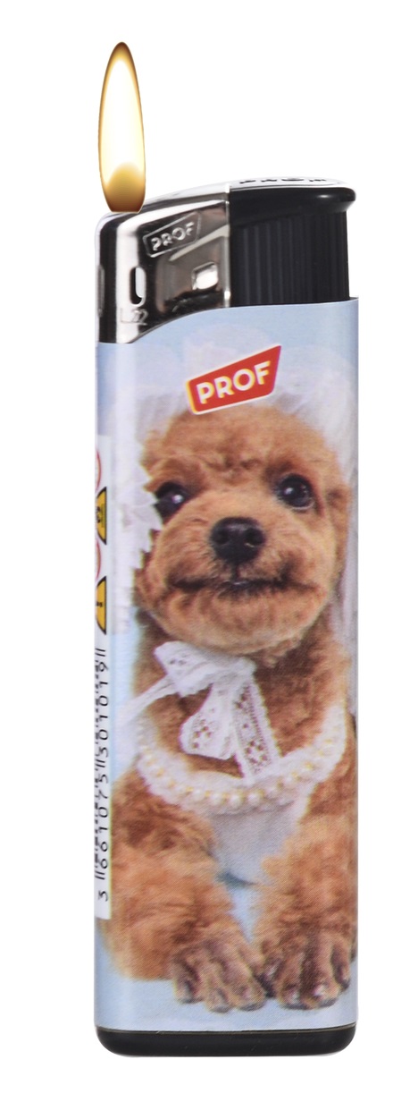 PROF Poodles accendini elettronici 50 pezzi ricaricabili