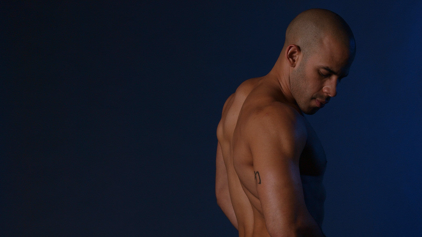 Fleshjack Austin Wilde Eros masturbatore anale
